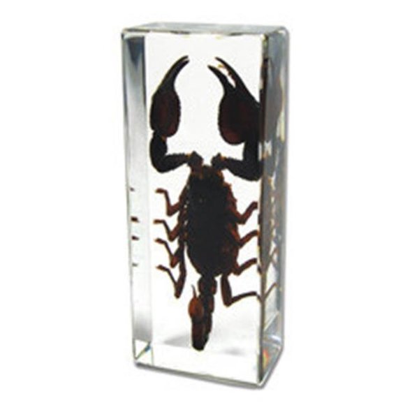 Ed Speldy East ED SPELDY EAST PW305 Paperweight  Large  Black Scorpion PW305